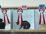     
: SH (9).jpg
: 479
:	84.7 
ID:	2062336