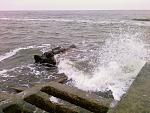     
: Photo-0043.jpg
: 73
:	204.2 
ID:	2062968