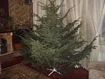     
: DSC04525.jpg
: 70
:	98.7 
ID:	2064936