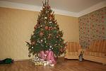     
: IMG_1576.jpg
: 99
:	130.8 
ID:	2065553