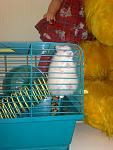     
: 271220105067.jpg
: 21
:	90.5 
ID:	2066634