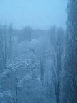     
: SNC01651.jpg
: 16
:	89.0 
ID:	2067824
