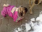     
: 29122010661.jpg
: 59
:	128.9 
ID:	2068990