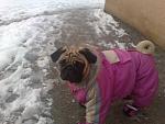     
: 29122010668.jpg
: 58
:	107.1 
ID:	2068992