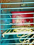     
: 281220105069.jpg
: 26
:	126.0 
ID:	2071233