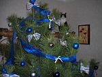     
: DSCN3252.JPG
: 56
:	197.9 
ID:	2071512