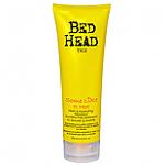     
: TigiBedHeadSomeLikeHotSHampoo_b.jpg
: 42
:	11.6 
ID:	2074230