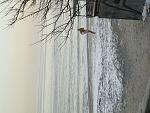     
: IMG_2788.jpg
: 86
:	174.1 
ID:	2077448