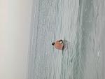     
: IMG_2797.jpg
: 80
:	84.8 
ID:	2077449