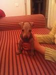     
: DSC01490.jpg
: 57
:	114.3 
ID:	2079046
