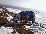     
: Фото0287.jpg
: 23
:	152.1 
ID:	2081041