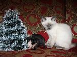     
: IMG_3087.jpg
: 23
:	95.3 
ID:	2081163