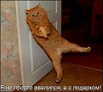     
: 5926857v75.jpg
: 52
:	64.3 
ID:	2081311