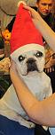     
: IMG_2145.jpg
: 38
:	52.3 
ID:	2084250