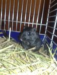     
: 050120112125.jpg
: 55
:	77.6 
ID:	2085093