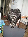     
: SAM_1753.jpg
: 58
:	104.6 
ID:	2085153