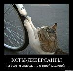     
: 2010.jpg
: 23
:	61.0 
ID:	2087934
