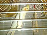     
: lichnoe 020.jpg
: 10
:	101.4 
ID:	208832