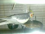     
: lichnoe 028.jpg
: 13
:	58.6 
ID:	208833