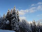     
: DSC02739.jpg
: 13
:	187.9 
ID:	2088923