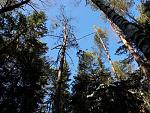     
: DSC02858.jpg
: 17
:	286.4 
ID:	2088924