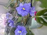     
: lichnoe 004.jpg
: 28
:	67.9 
ID:	208905