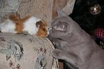     
: IMG_0122.jpg
: 29
:	28.7 
ID:	2091019