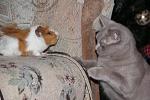     
: IMG_0119.jpg
: 22
:	30.3 
ID:	2091021