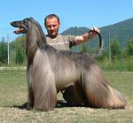     
: Comment%20small.jpg
: 29
:	42.3 
ID:	2094705
