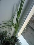     
: SPM_A1504.jpg
: 24
:	82.8 
ID:	2094714