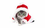     
: view4bbbf9f5dd661.jpg
: 3
:	76.5 
ID:	2095194