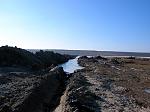     
: DSCN0100.jpg
: 165
:	60.7 
ID:	209709