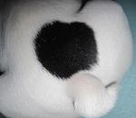     
: 2222IMG_2166.jpg
: 49
:	76.7 
ID:	2100715