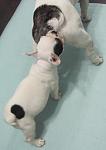     
: 221IMG_2172.jpg
: 61
:	56.0 
ID:	2100731