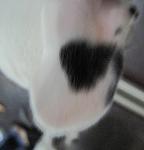     
: 2122IMG_2182.jpg
: 49
:	98.3 
ID:	2100732