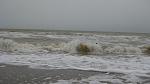     
: IMG_3116.jpg
: 53
:	78.6 
ID:	2100802
