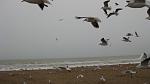     
: IMG_3112.jpg
: 48
:	51.9 
ID:	2100805