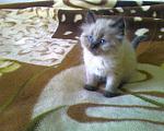     
: x_8820b159.jpg
: 60
:	56.4 
ID:	2101196