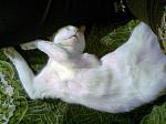     
: P030111_23.29_[02].jpg
: 42
:	30.3 
ID:	2102117