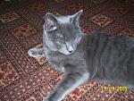     
: 100_1204.JPG
: 23
:	39.3 
ID:	210319