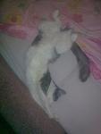     
: Фото0147.jpg
: 21
:	57.4 
ID:	2104425