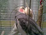     
: lichnoe 068.jpg
: 8
:	107.8 
ID:	210944