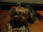     
: x_60de633e.jpg
: 55
:	67.3 
ID:	2115454