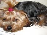     
: x_b3ff14eb.jpg
: 43
:	101.5 
ID:	2115455