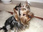     
: a_065361c0.jpg
: 52
:	9.4 
ID:	2115456
