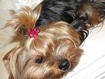     
: x_689d3be4.jpg
: 53
:	98.0 
ID:	2115457