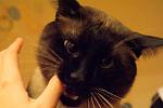     
: DSC00030.JPG
: 19
:	51.2 
ID:	2116674