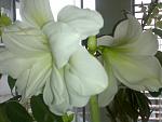     
: lichnoe 114.jpg
: 15
:	56.9 
ID:	211795