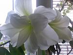     
: lichnoe 113.jpg
: 19
:	59.5 
ID:	211797