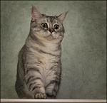     
: IMG_6434.jpg
: 33
:	88.7 
ID:	2121128